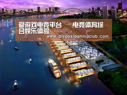 案例展示八(图1) 案例展示八(图1)