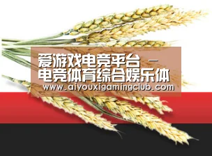 爱游戏电竞平台 - 电竞体育综合娱乐体验