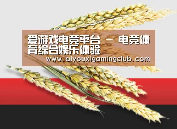 爱游戏电竞平台 - 电竞体育综合娱乐体验