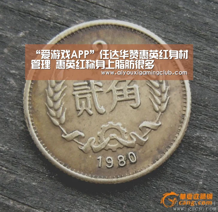 爱游戏APP